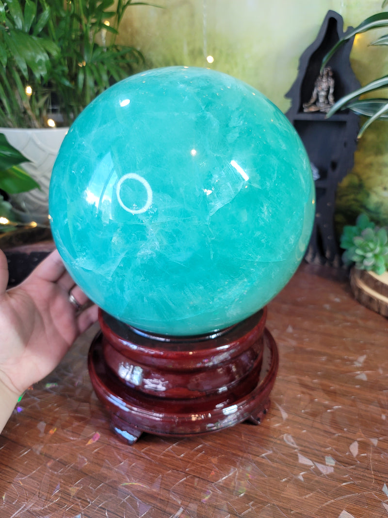 43 Pound Gemmy Fluorite Crystal Sphere with Wood Rotating Stand