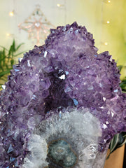 EPIC Museum Quality Piece! 32-lb Amethyst with Many Rosette Flowers on Custom Stand