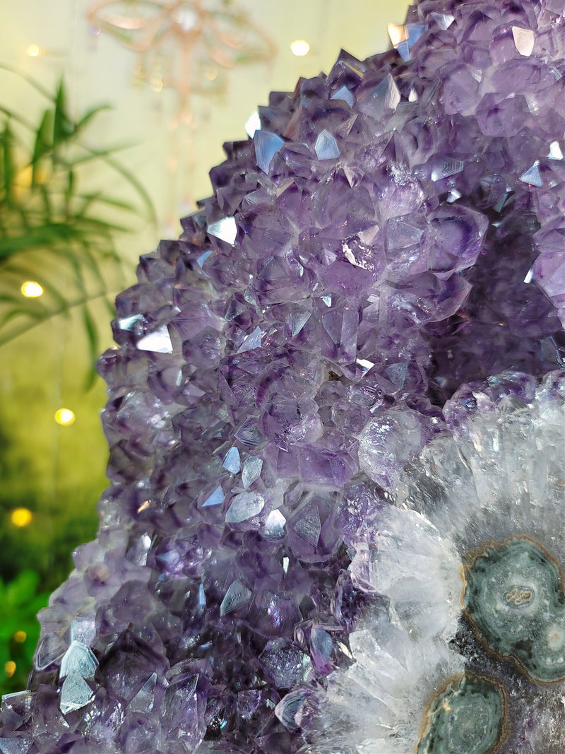 EPIC Museum Quality Piece! 32-lb Amethyst with Many Rosette Flowers on Custom Stand
