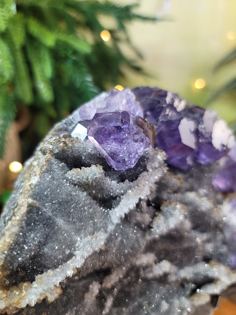 Tanzanite Fluorite with Quartz Micro Points on Matrix