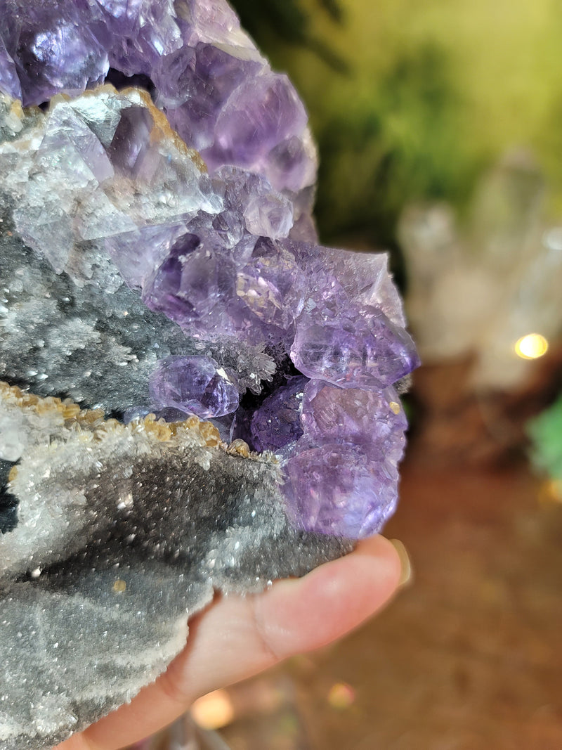 Tanzanite Fluorite with Quartz Micro Points on Matrix