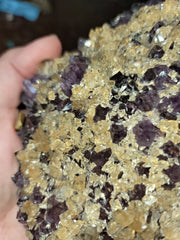 Amethyst with Golden Calcite Growth (sprinkle)