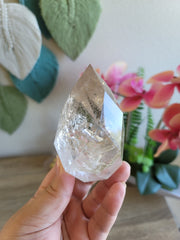 Faceted Clear Quartz Egg