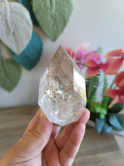 Faceted Clear Quartz Egg