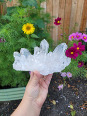 High Grade Clear Quartz Cluster from Brazil