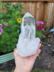 High Grade Clear Quartz Cluster from Brazil