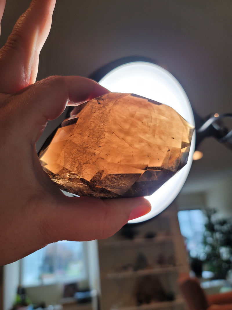 Faceted Dark Smoky Quartz with Gold Rutile