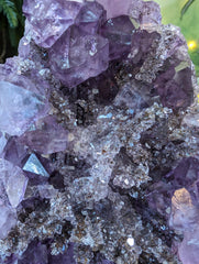 Beautiful Amethyst with Crystalized Hematite & Quartz Points Center