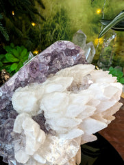 RARE White Druzy Dragon Scale Calcite Over Amethyst