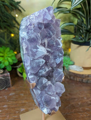 XL Frosted Big Points Amethyst on Custom Stand