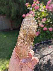 Gold Rutilated Quartz with 5 Penetrator Points