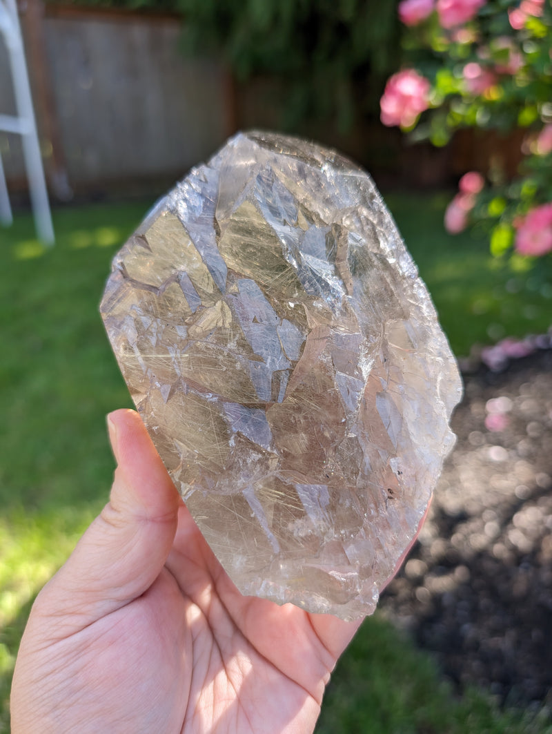 HQ Smoky Quartz Point Filled with Gold Rutile & Elestial Back