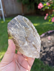 HQ Smoky Quartz Point Filled with Gold Rutile & Elestial Back