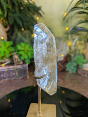 Gold Rutilated Quartz with 5 Penetrator Points