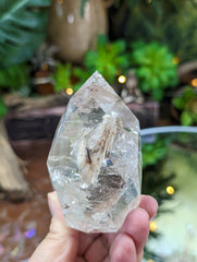 Faceted Clear Quartz Egg with Tourmaline