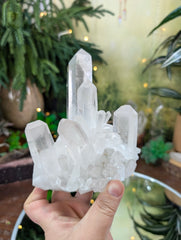 High Grade Clear Quartz Cluster from Brazil