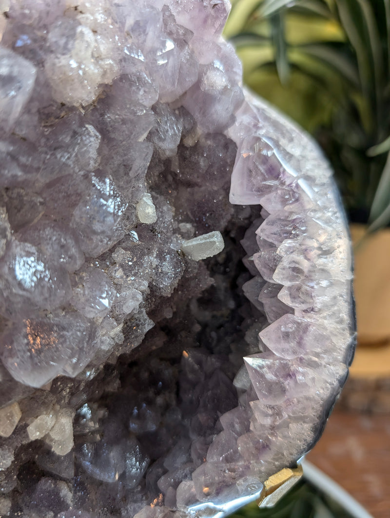 Stunning XXL Amethyst Druzy with Calcite