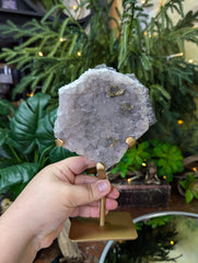 Amethyst Flower Druzy Specimen