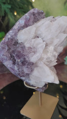 RARE White Druzy Dragon Scale Calcite Over Amethyst