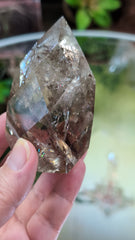 Faceted Smoky Quartz Egg