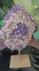 Amethyst with Golden Calcite Growth (sprinkle)