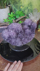 Amethyst Cluster with Water Clear Points, Rosette Flowers on Metal Stand