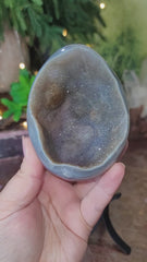 Agate Geode Egg with Sprinkle of Pyrite & Quartz Flower in the Center