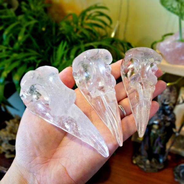 Large Clear Quartz Raven Bird Skull | Fae & The Wolf Crystal Boutique