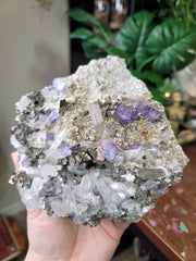 RARE Specimen - Quartz Points, Pyrite, Galena and Gemmy Purple Cubic Fluorite on Matrix